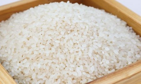 Assorted Rice Varieties on Plate