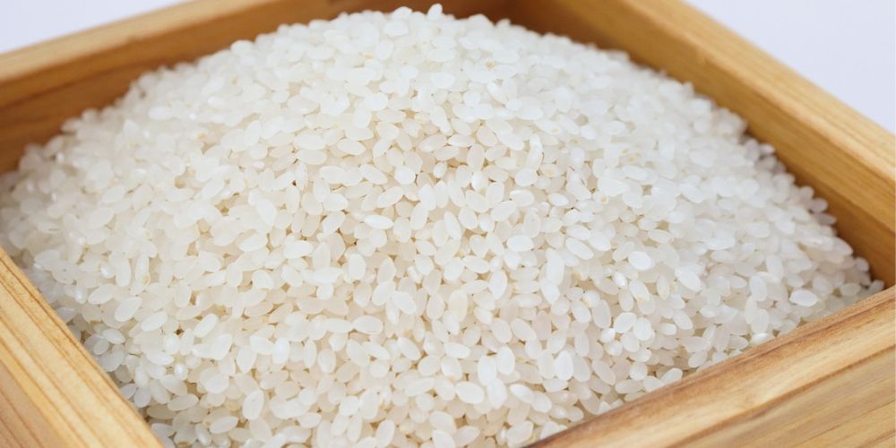 Assorted Rice Varieties on Plate